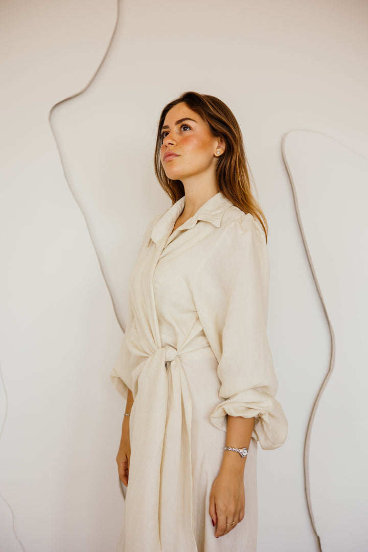 Serena Dress In Golden Beige